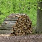 un tas de bois fendus