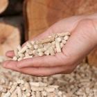 main remplie de pellets de bois