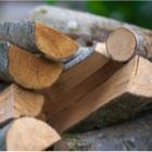 tas de bûches de bois coupées
