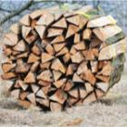 un m³ de bois