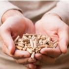 mains remplies de pellets de bois