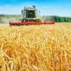 Nos idées pour préparer correctement votre moisson