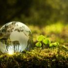 mini globe terrestre en verre posé au sol
