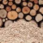Bûches vs Pellets : qui gagnera le marché ?