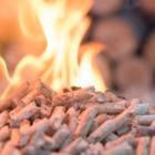pellets de bois enflammés