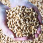 mains offrant des granulés de bois