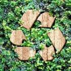 mur de feuilles avec symbole recyclage en bois
