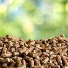 focus sur du pellets de bois