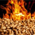 pellets de bois enflammés