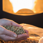 mains remplies de pellets de bois