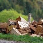 stère de bois