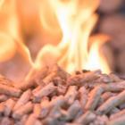 tas de pellets de bois enflammés