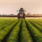 Pesticides