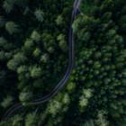 Gestion des forêts françaises