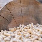 tas de pellets sur un tronc de bois