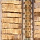 une réserve de bois