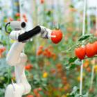 Quelle agriculture demain ?