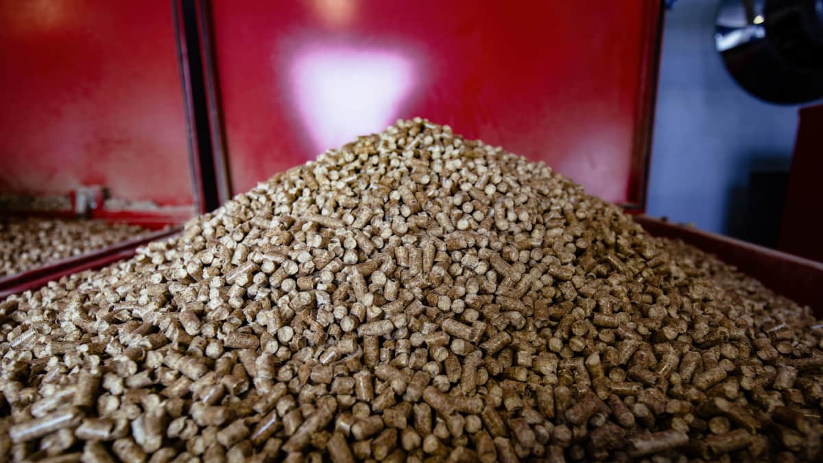 tas de pellets dans un bac rouge