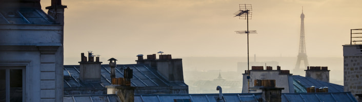 vue aérienne des toits de Paris