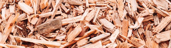 focus sur des copeaux de bois