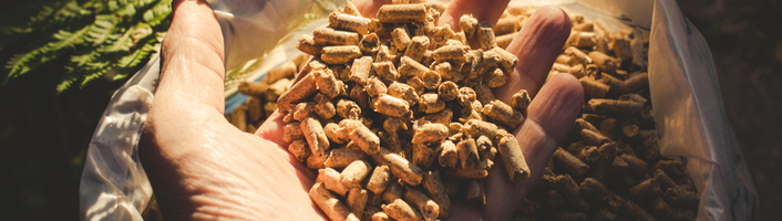 main remplie de pellets de bois