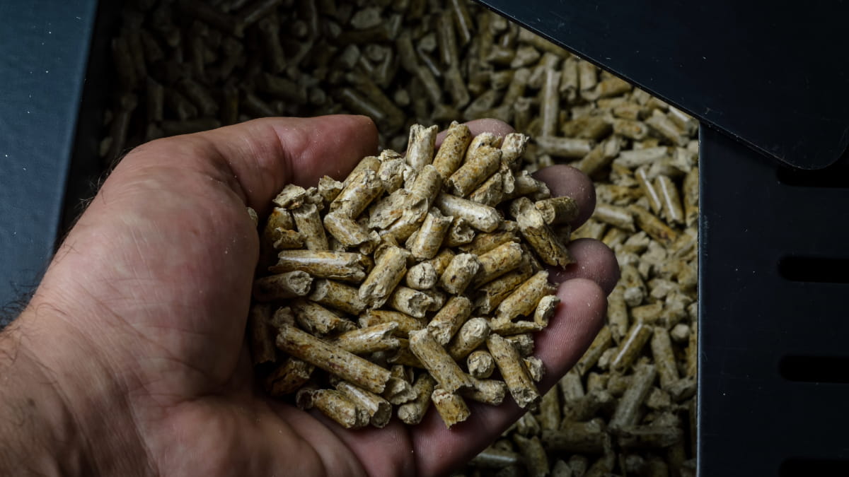 main remplie de pellets de bois