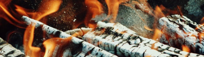 bois consumée par les flammes