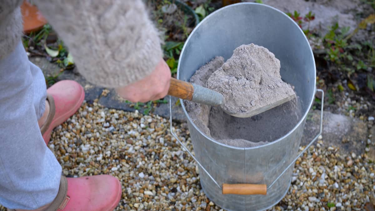 personne avec une pelle remplie de cendres
