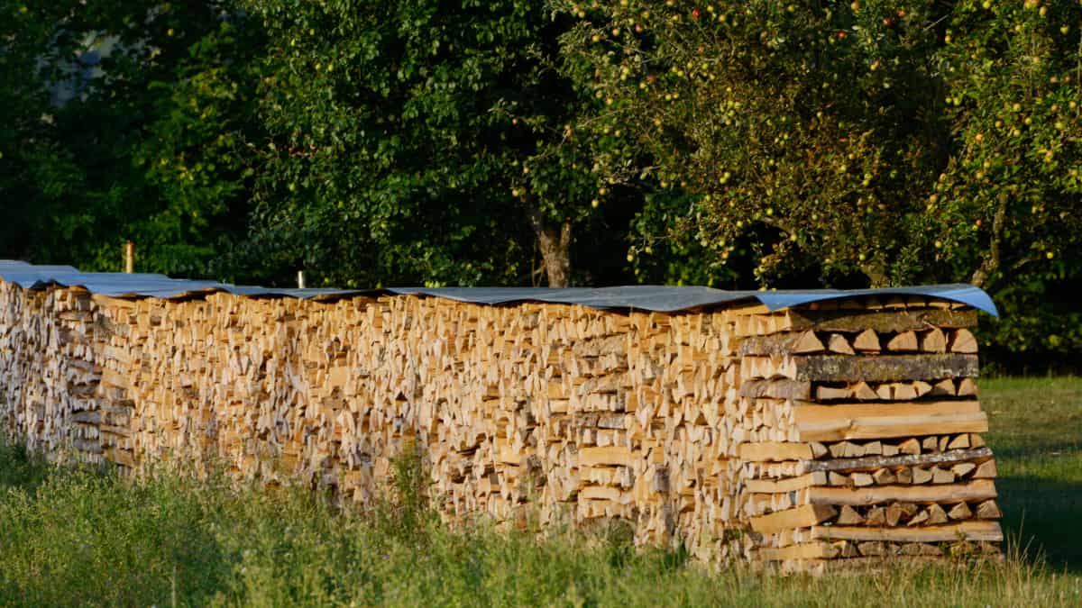 bûches empilés dans un jardin