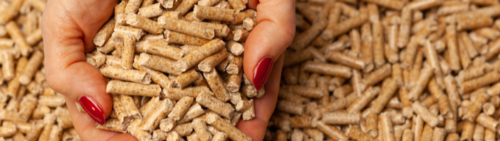 mains remplies de pellets de bois