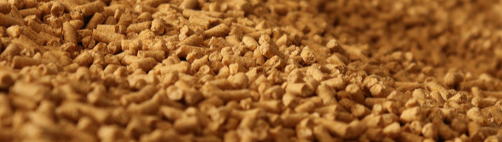 focus sur du pellets de bois