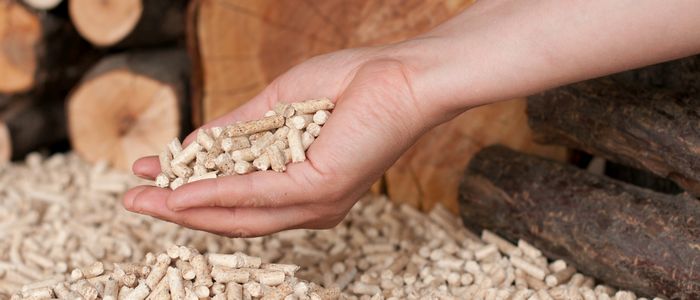 main remplie de granulés de bois