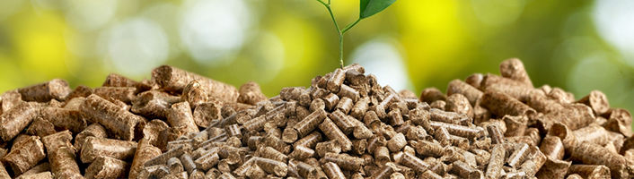 pellets de bois et une plante