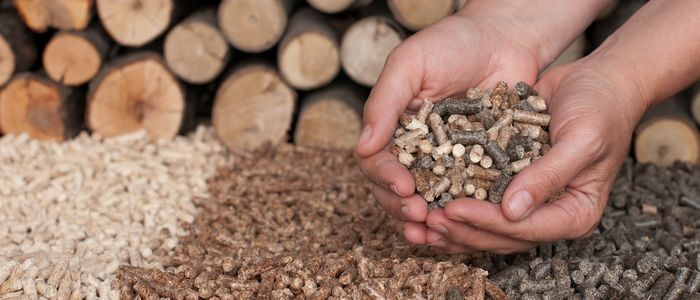 mains tenant du pellets de bois