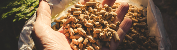 main remplie de pellets de bois