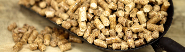 pelle remplie de bois granulés
