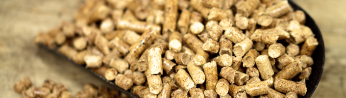 pelle remplie de bois granulés