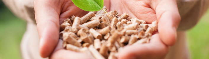 mains remplies de pellets de bois
