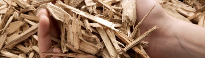 main remplie de copeaux de bois