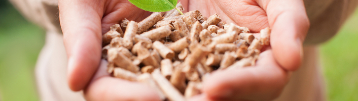 mains remplies de pellets de bois