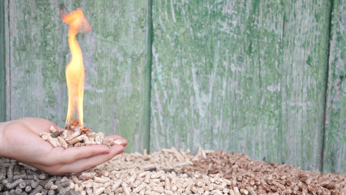 main tenant des pellets enflammés