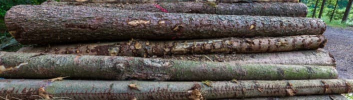 des troncs de bois empilés