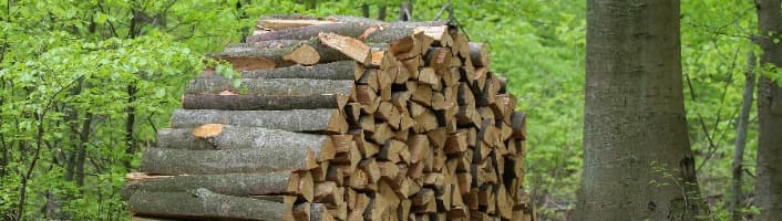 un tas de bois fendus