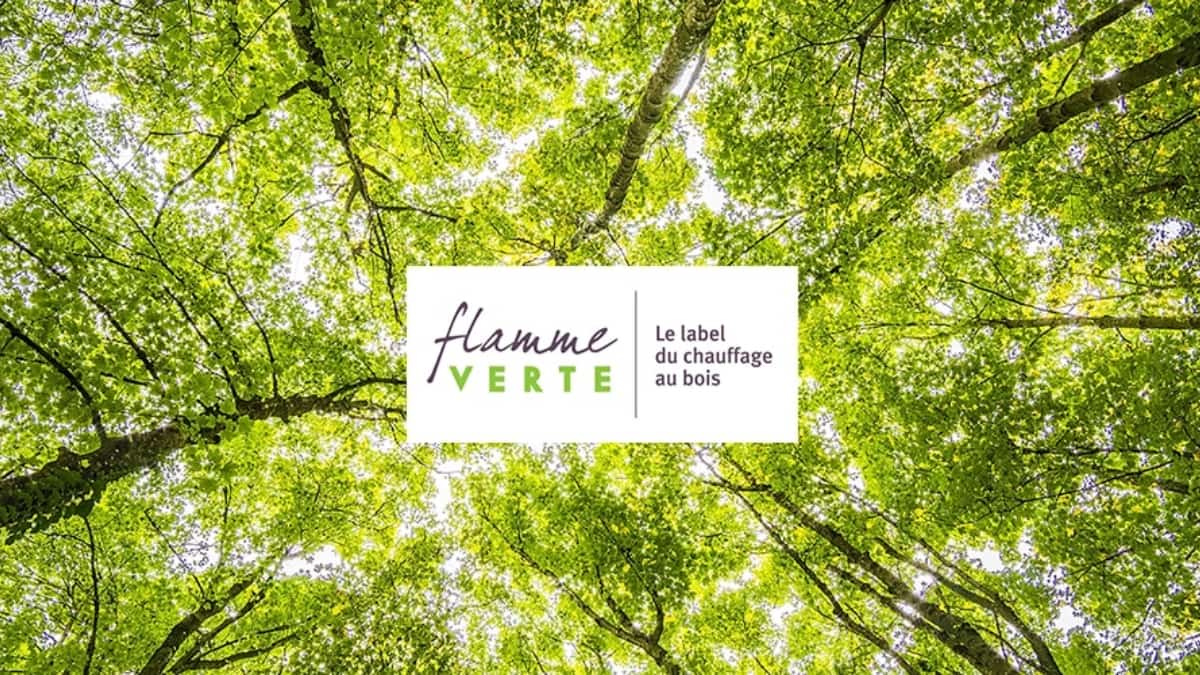 focus d'une forêt avec la vignette label flamme verte