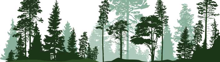 vignette d'une forêt