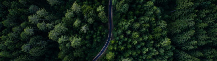 vue aérienne en gros plan sur des arbres forestier