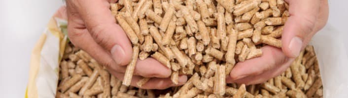 focus de granulés de bois ramassés par deux mains