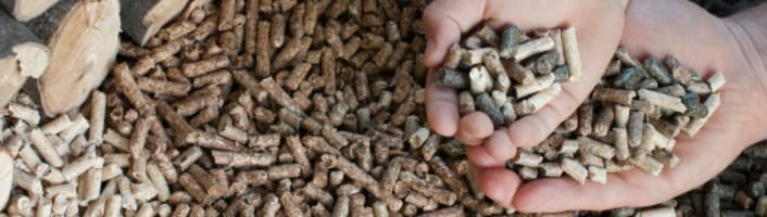 mains remplies de granulés de bois