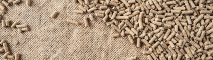 focus sur des pellets