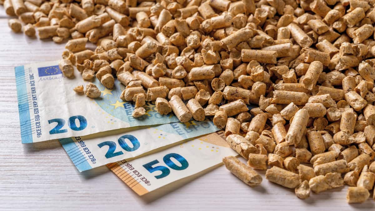 billets d'euros enfouis dans du pellets de bois